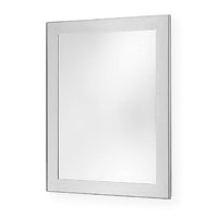 Security Mirror